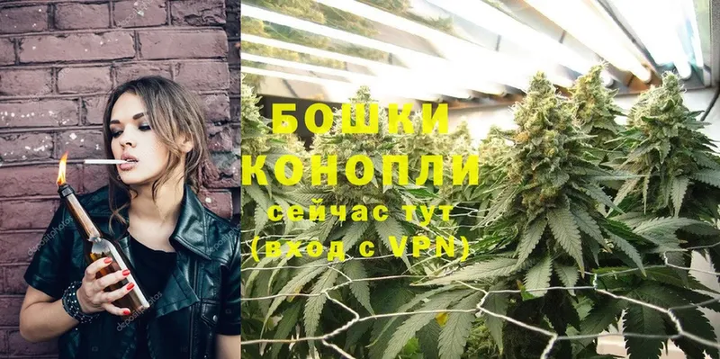 Конопля OG Kush  Сим 